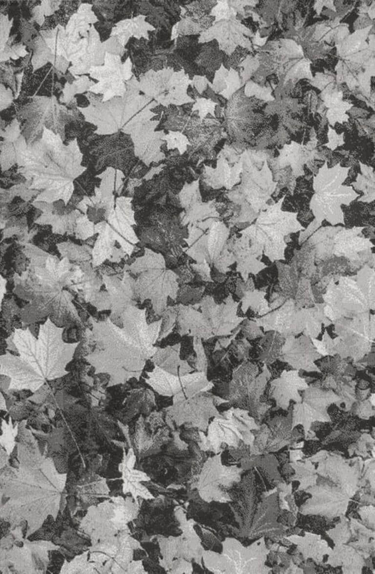 Alfombra acrílica Nerea 255 en Decorazone tienda de alfombras